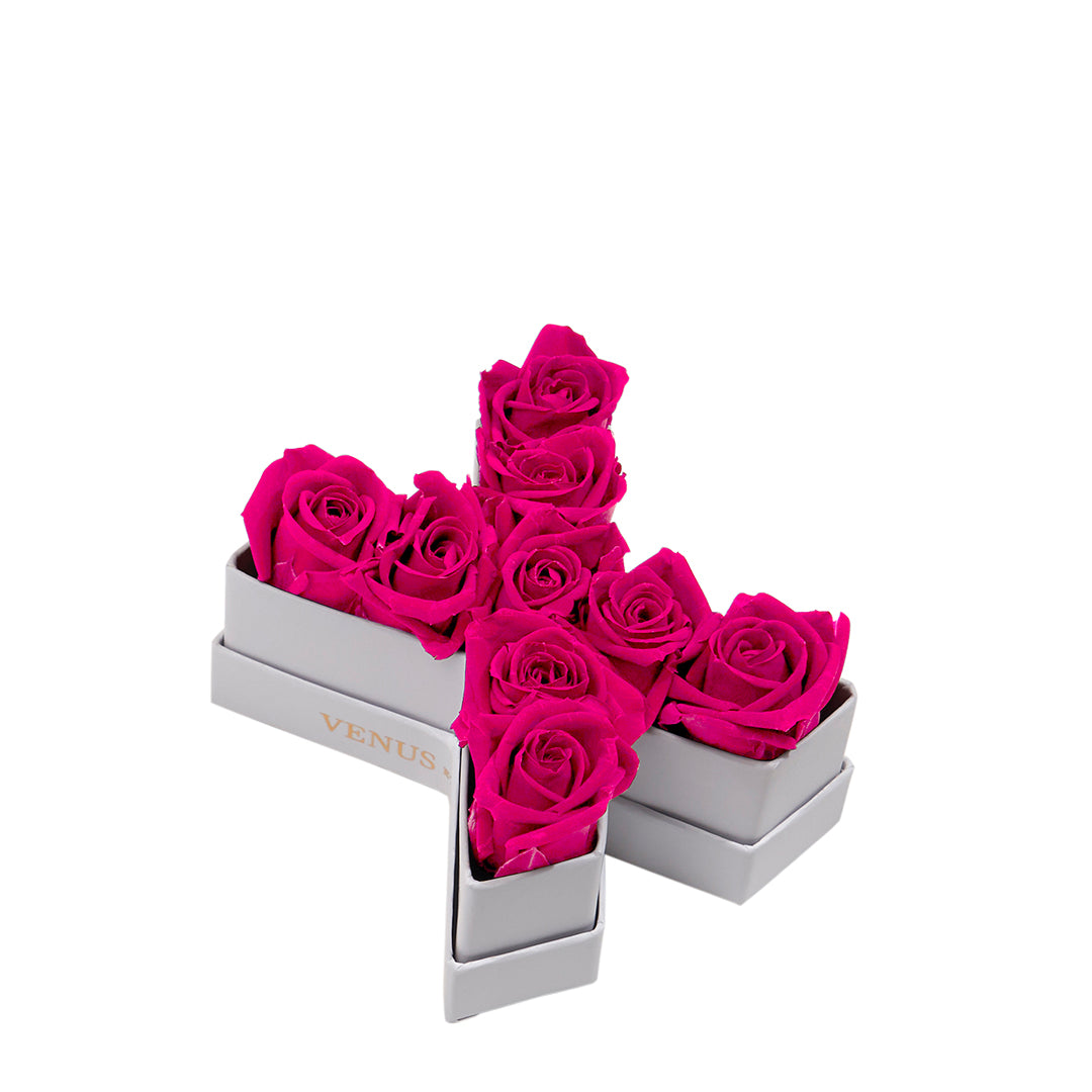 Le Mini Letter – X - Venusetflleur