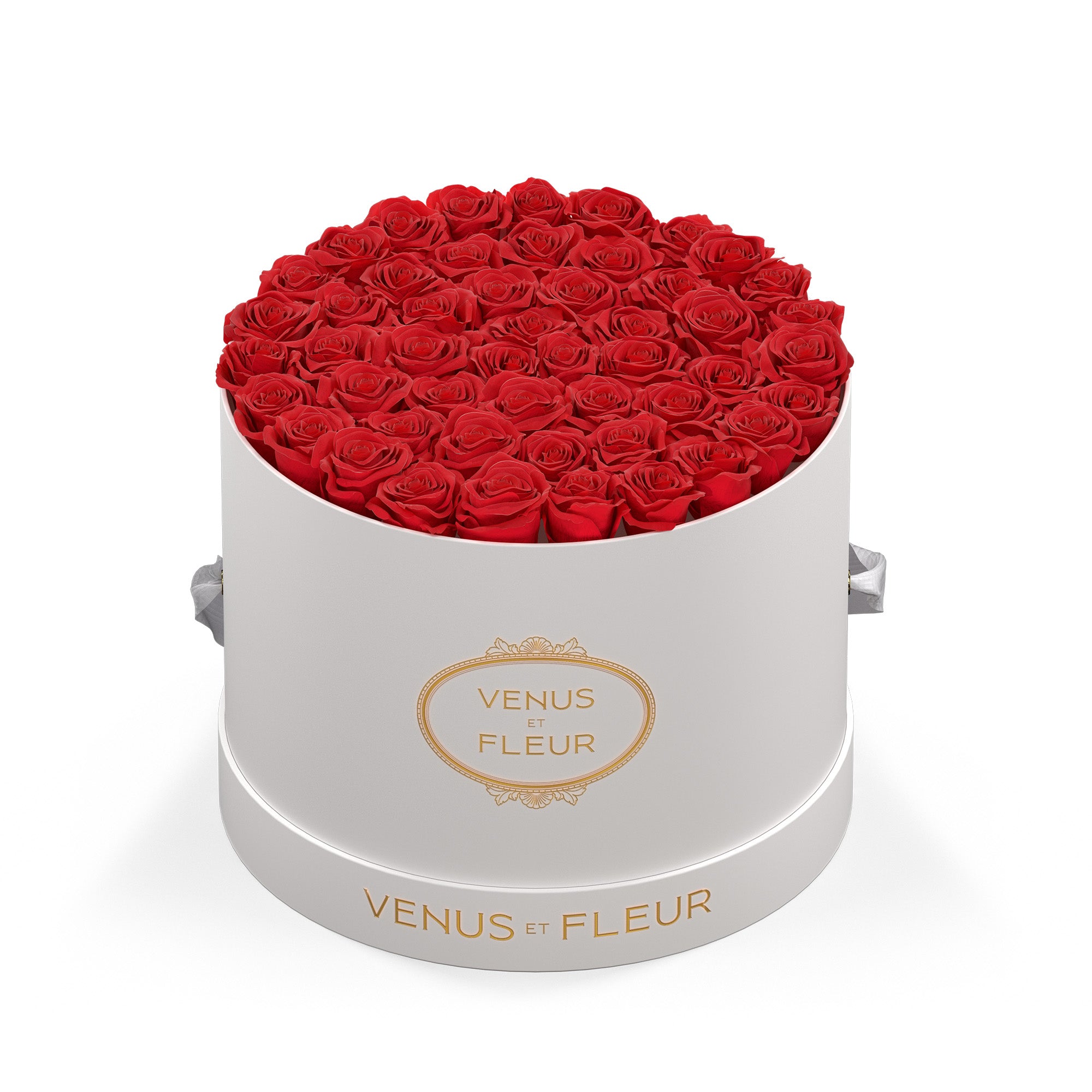 Large Round - Venusetflleur