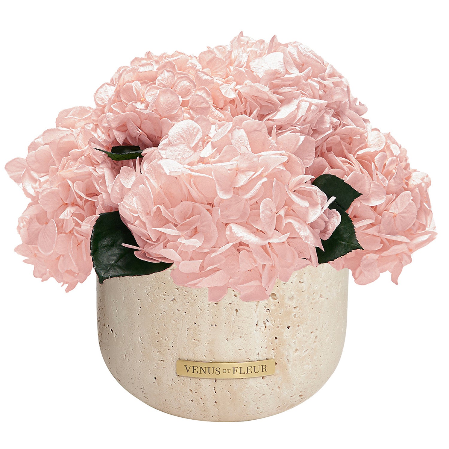 Terre Travertine Vase - Venusetflleur