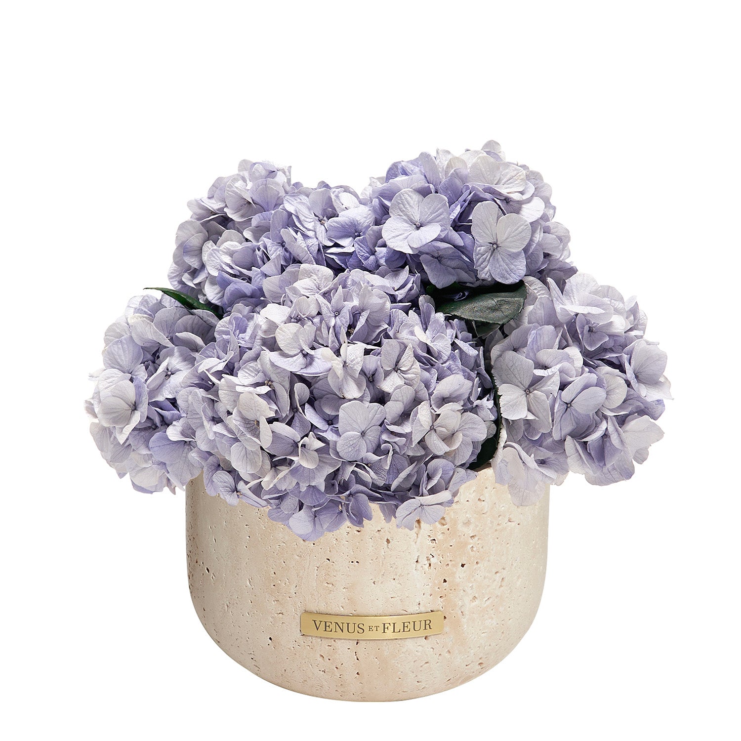 Terre Travertine Vase - Venusetflleur