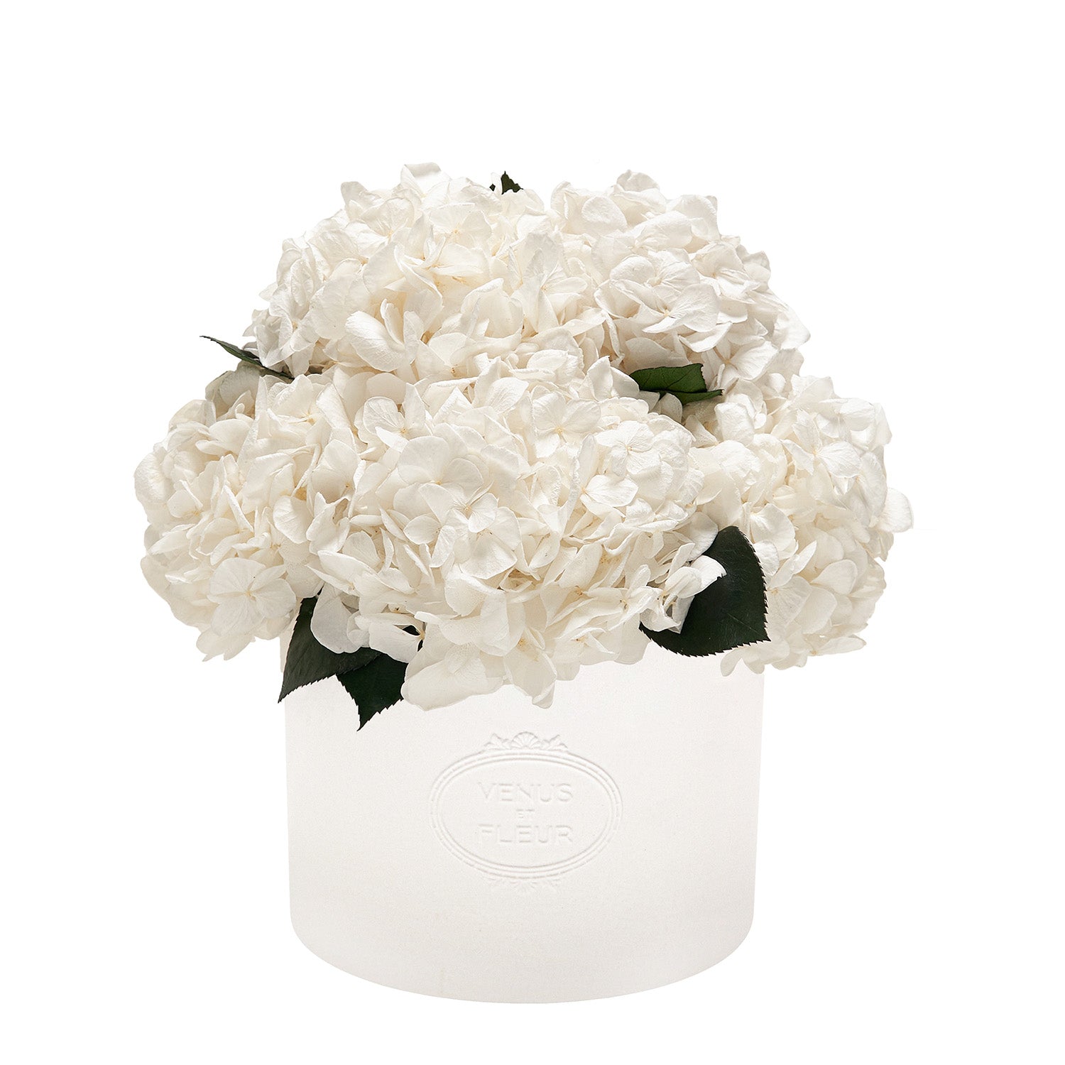 Thalia Porcelain Vase - Venusetflleur
