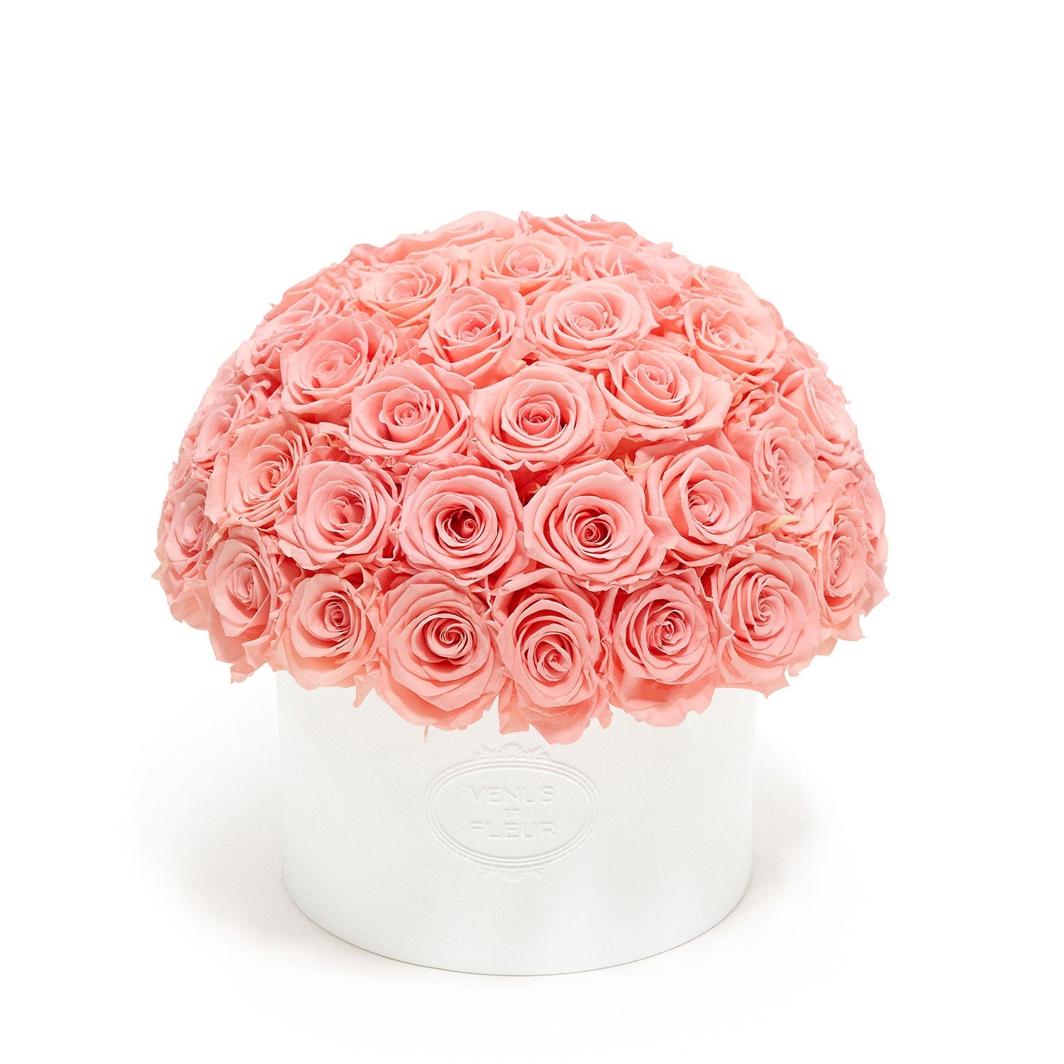 Thalia Porcelain Vase - Venusetflleur