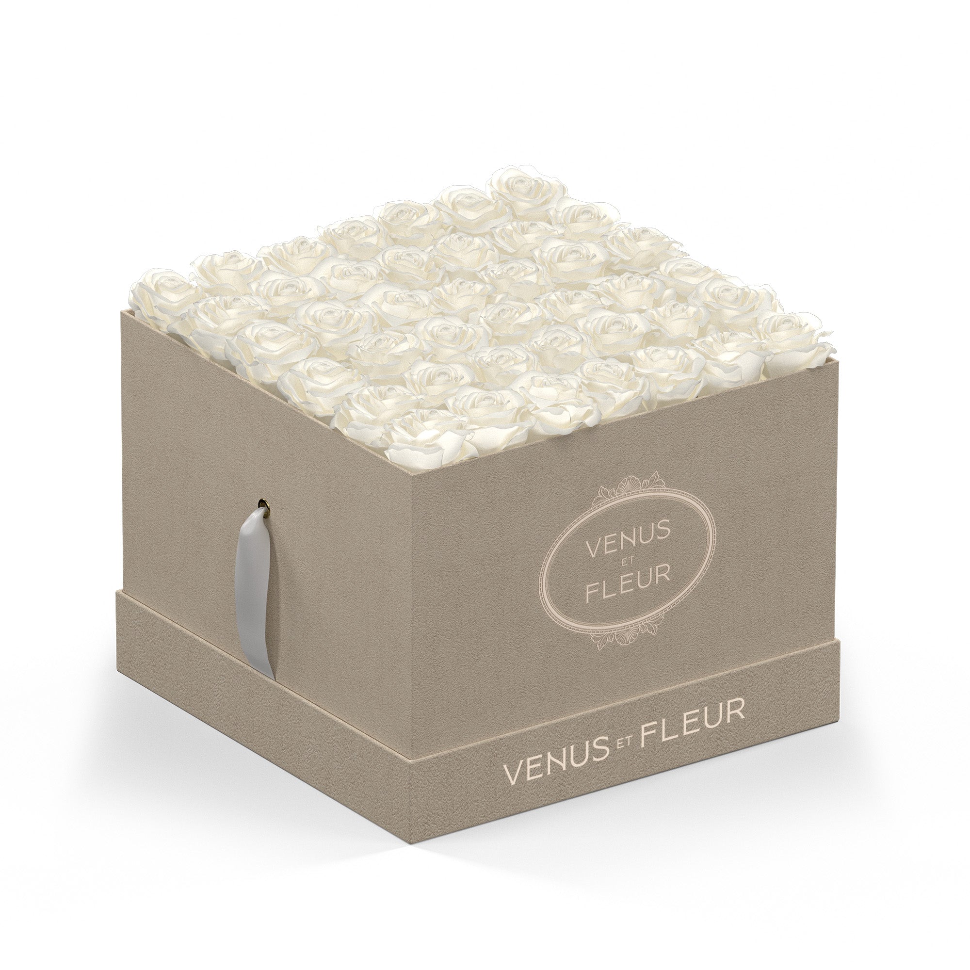 Large Square - Venusetflleur