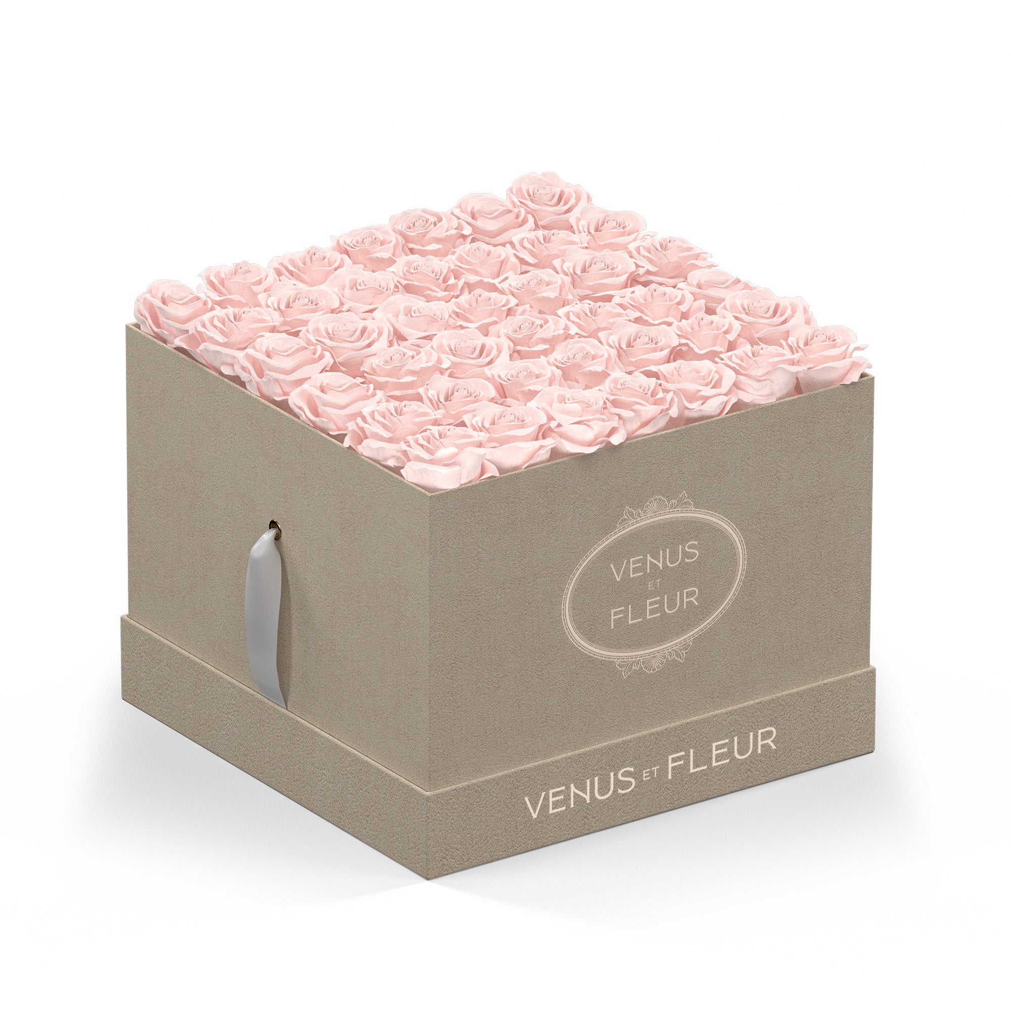 Large Square - Venusetflleur