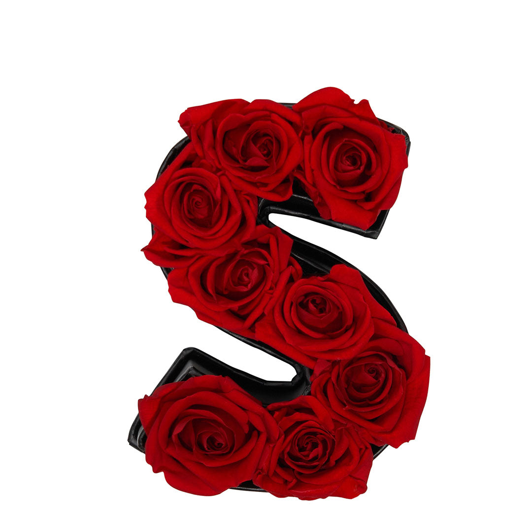 Le Mini Letter – S - Venusetflleur