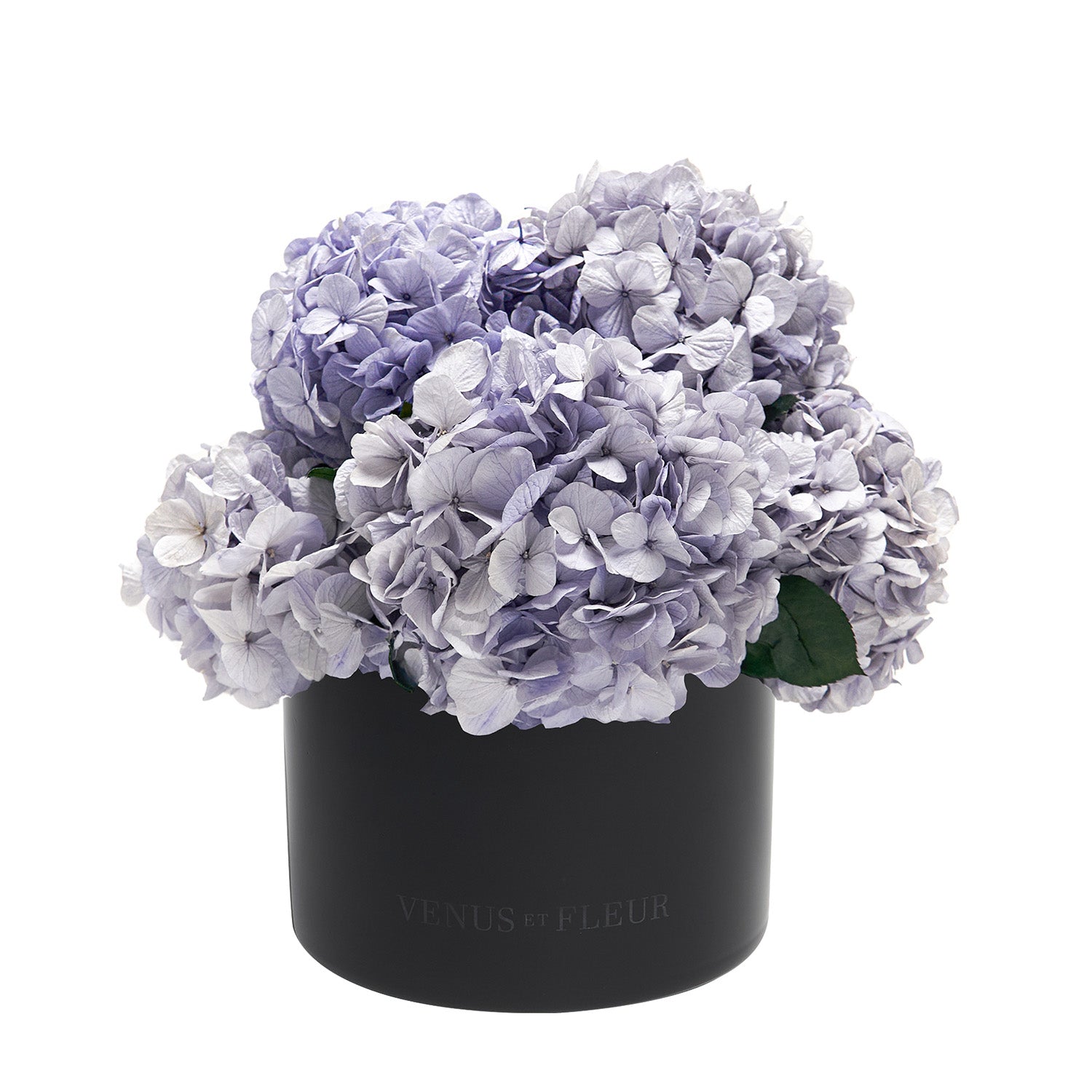 Eau Smoked Glass Vase - Venusetflleur