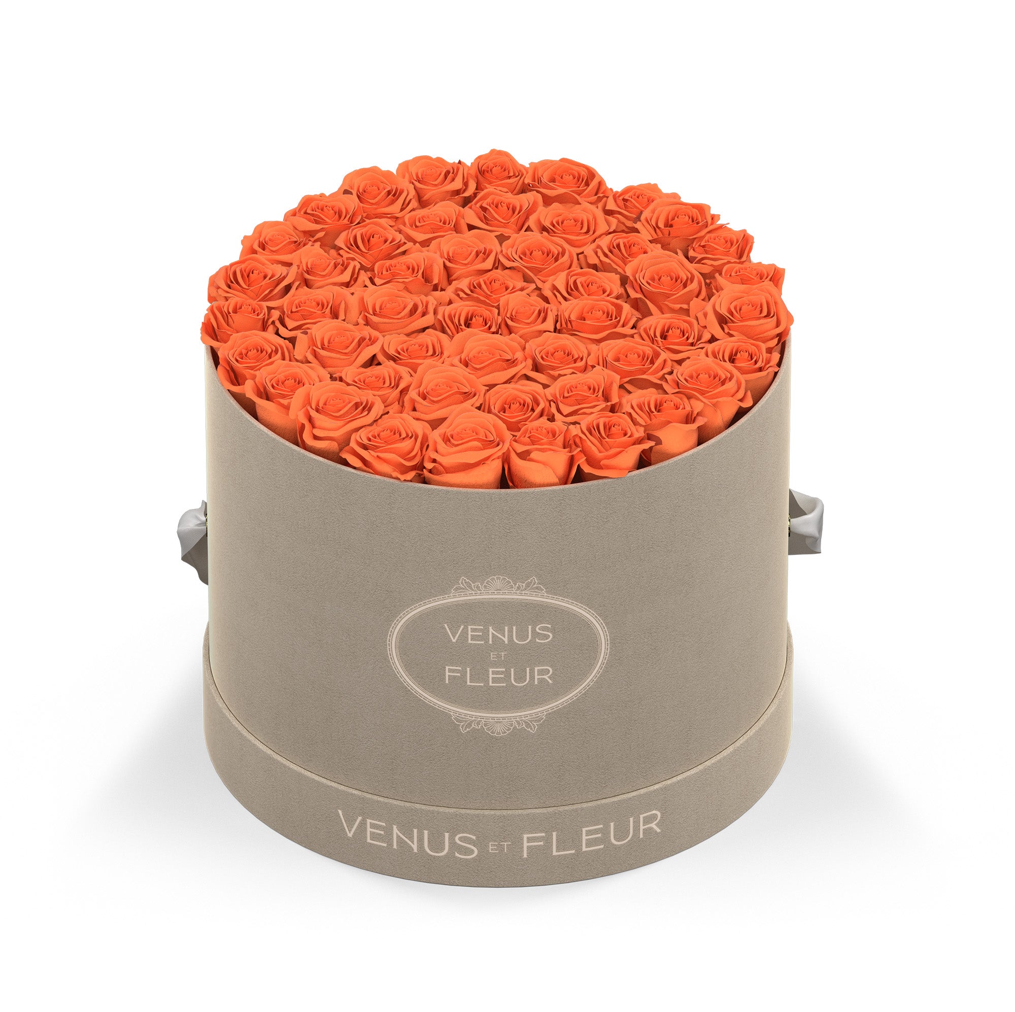 Large Round - Venusetflleur