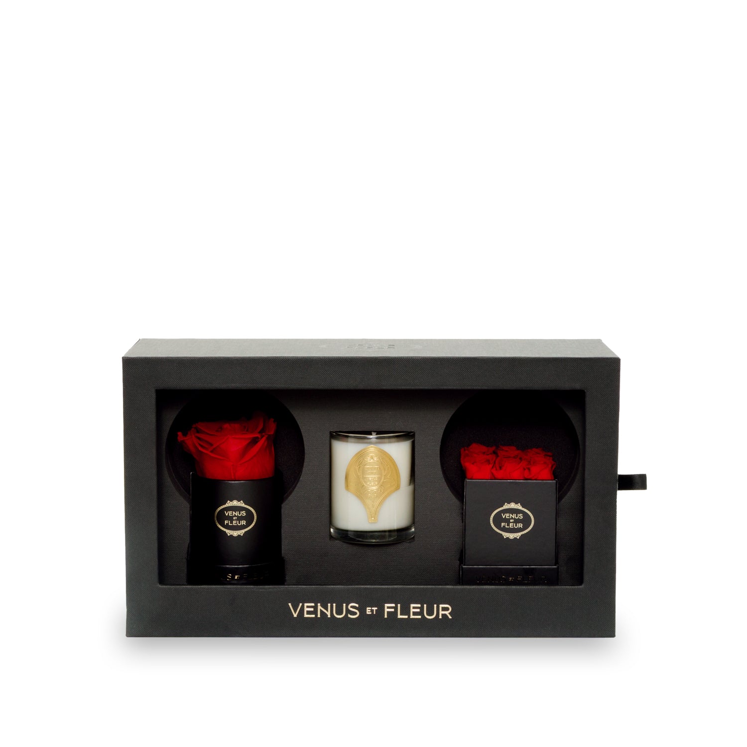 The Classic Bundle - Venusetflleur