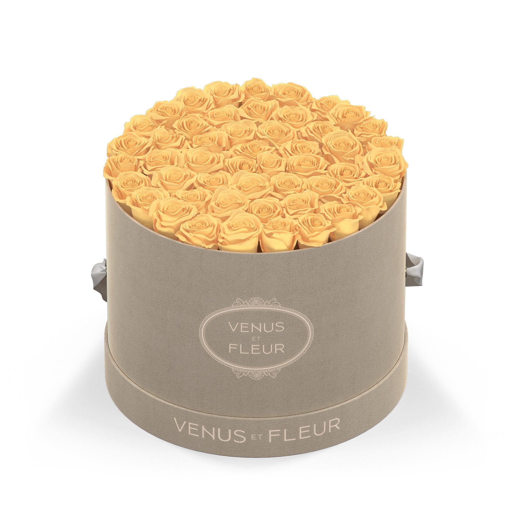 Large Round - Venusetflleur