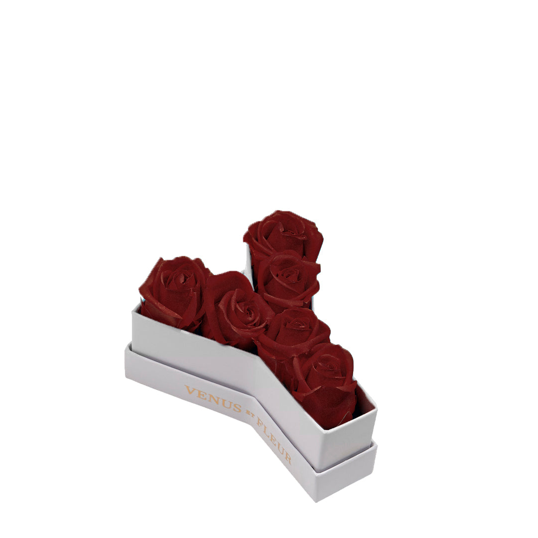 Le Mini Letter – Y - Venusetflleur