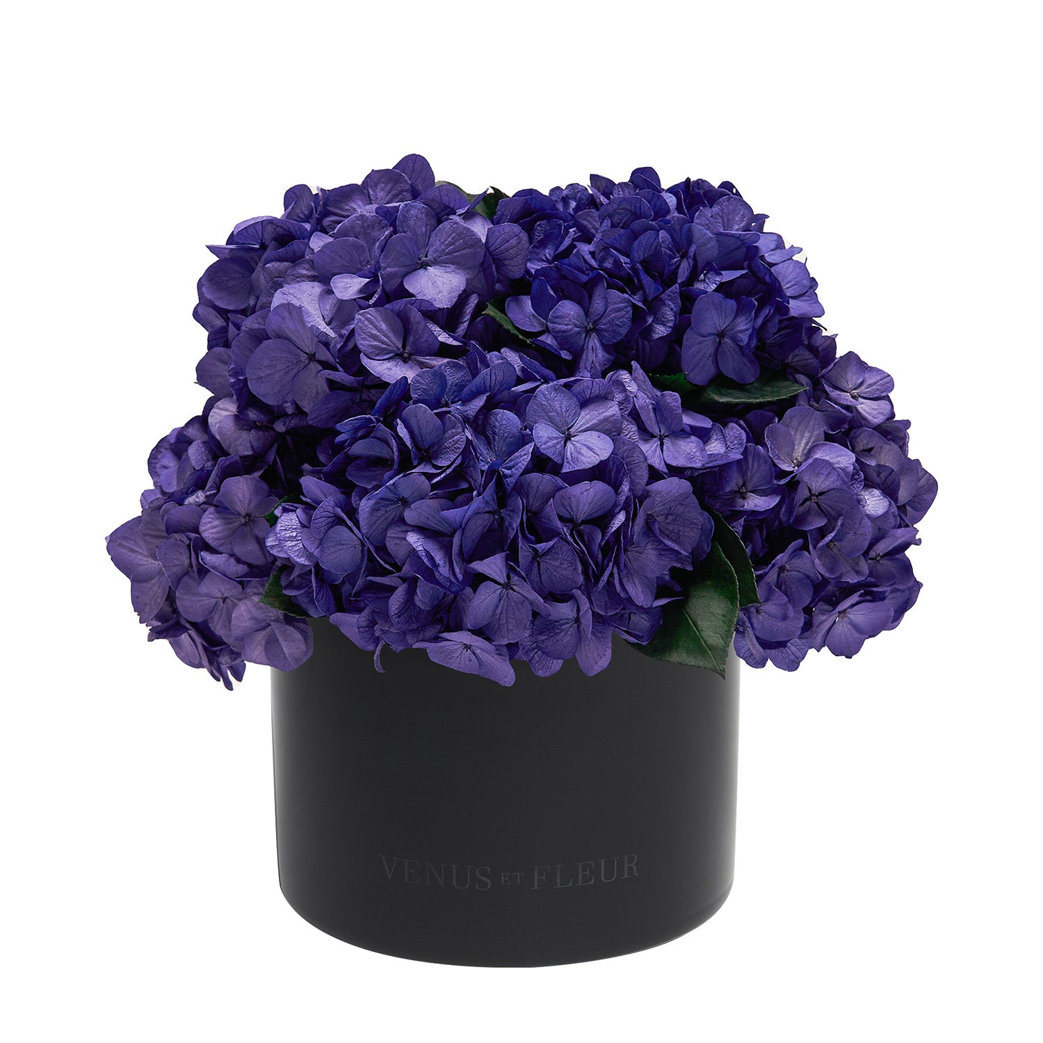 Eau Smoked Glass Vase - Venusetflleur