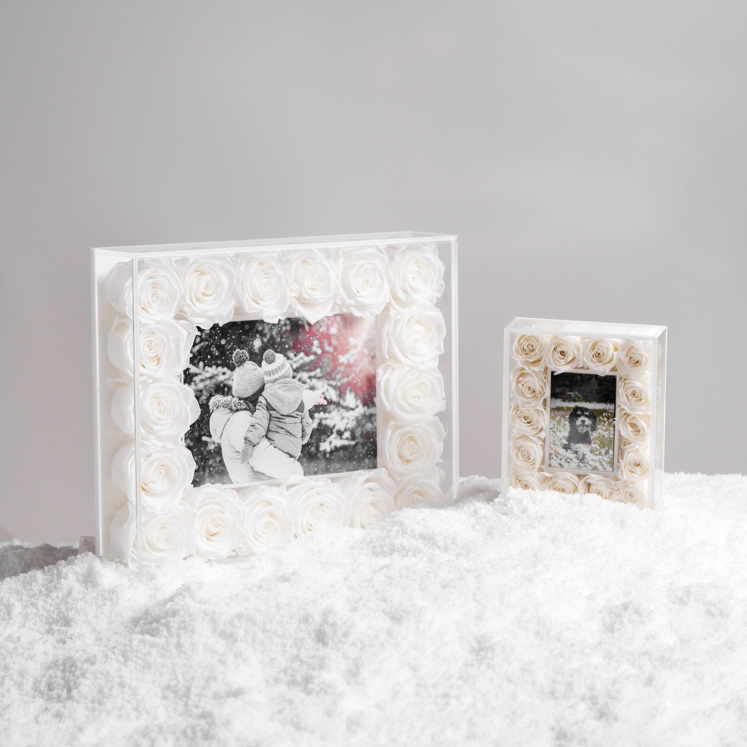 The Fleur Frame - Venusetflleur