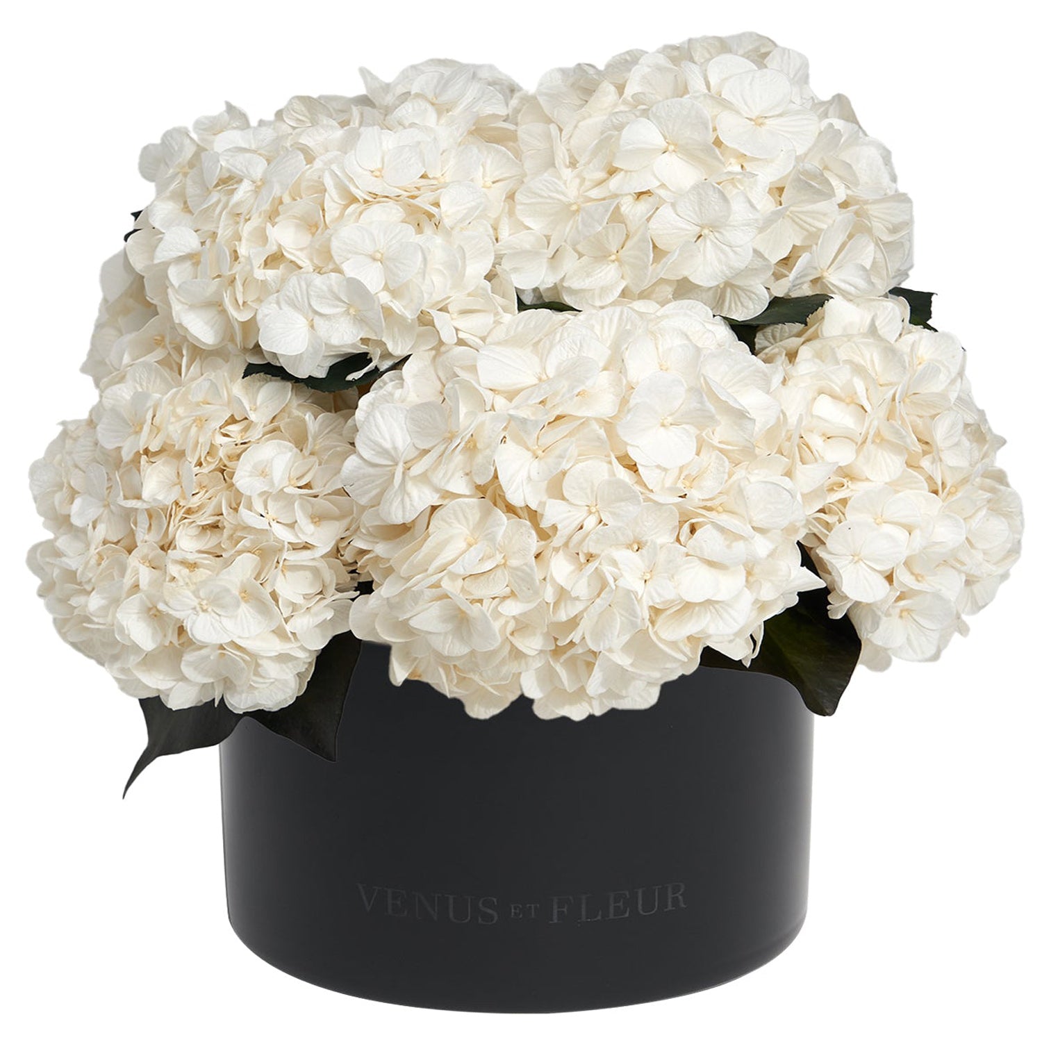 Eau Smoked Glass Vase - Venusetflleur