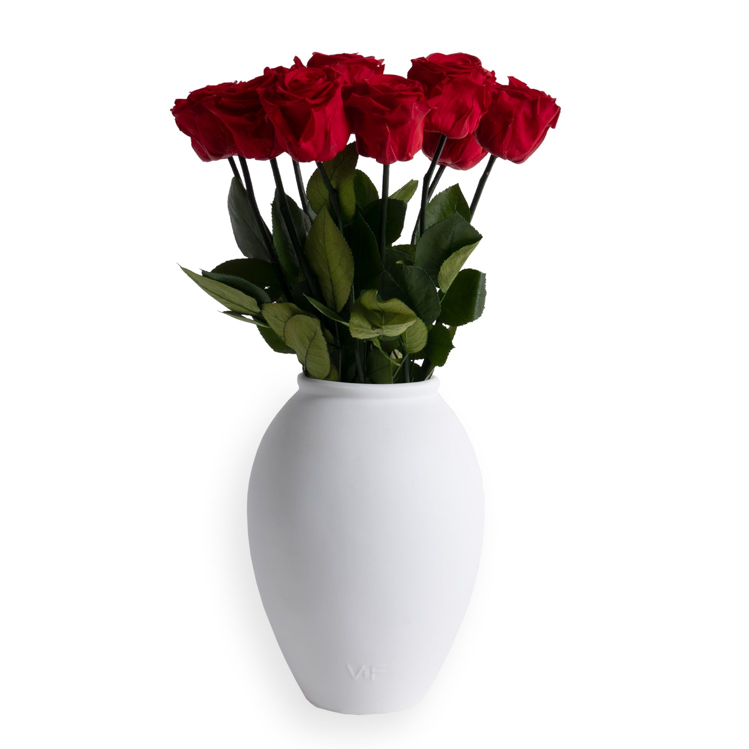 Amphora Porcelain Vase - Venusetflleur