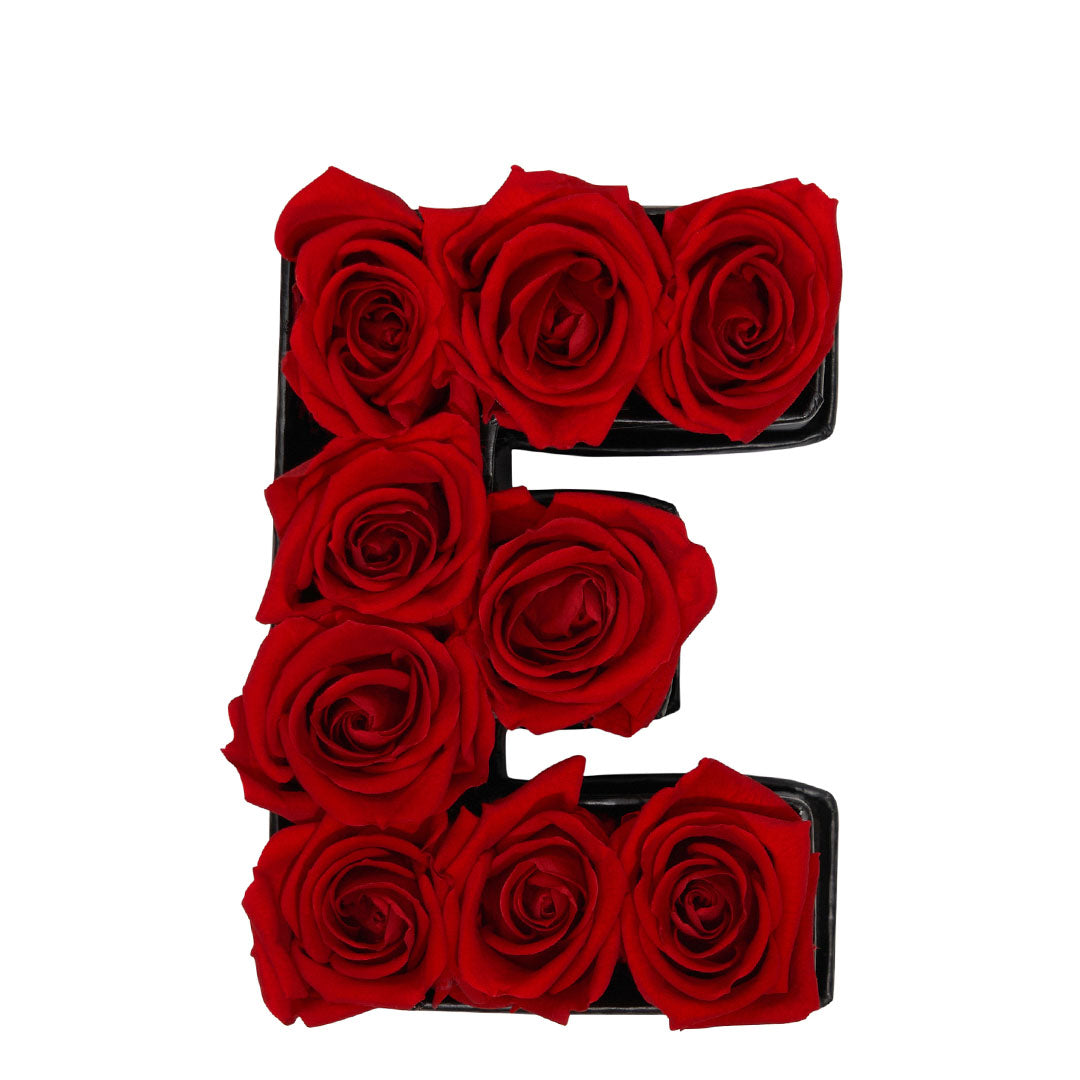 Le Mini Letter – E - Venusetflleur