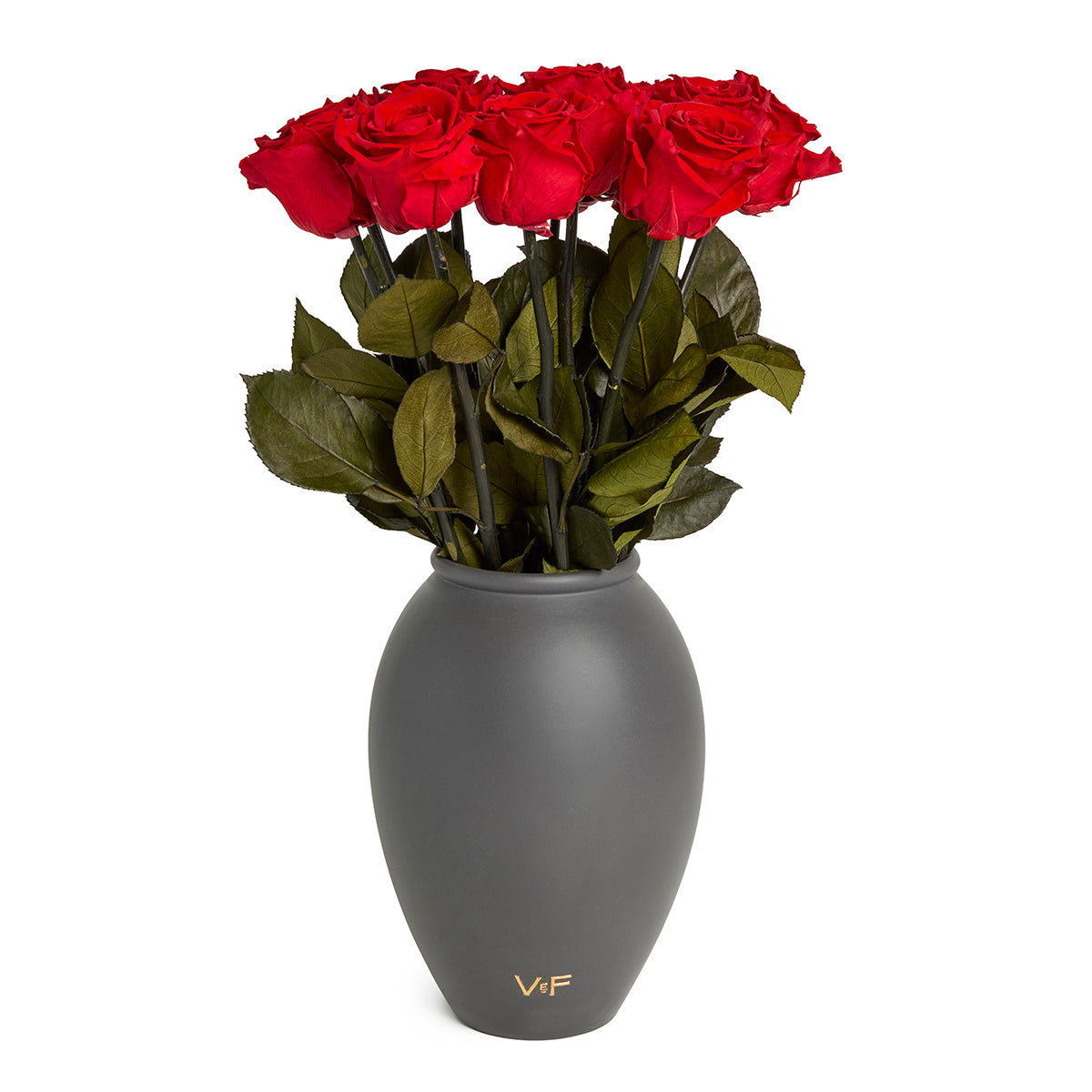 Amphora Porcelain Vase - Venusetflleur