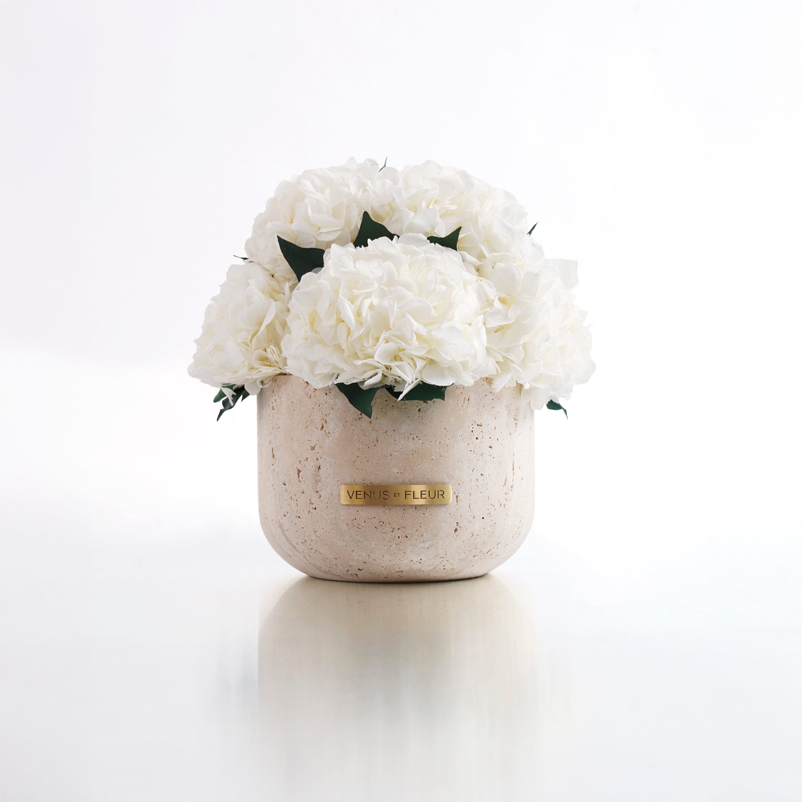Terre Travertine Vase - Venusetflleur