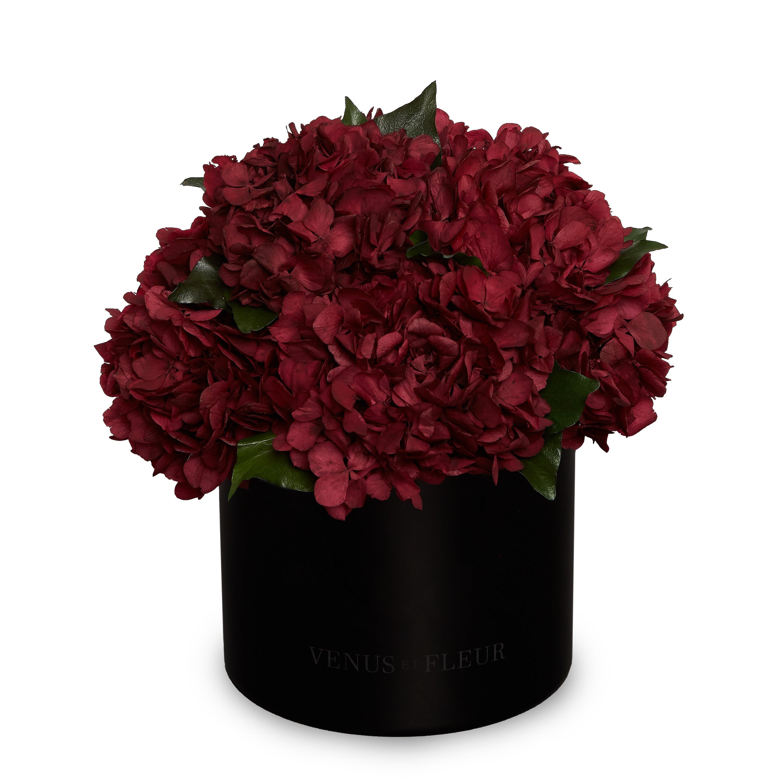 Eau Smoked Glass Vase - Venusetflleur