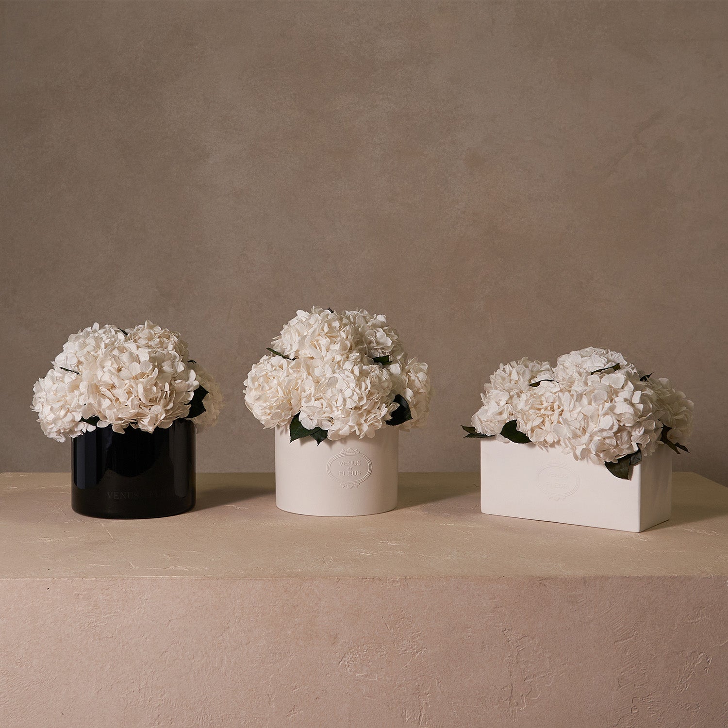 Eau Smoked Glass Vase - Venusetflleur