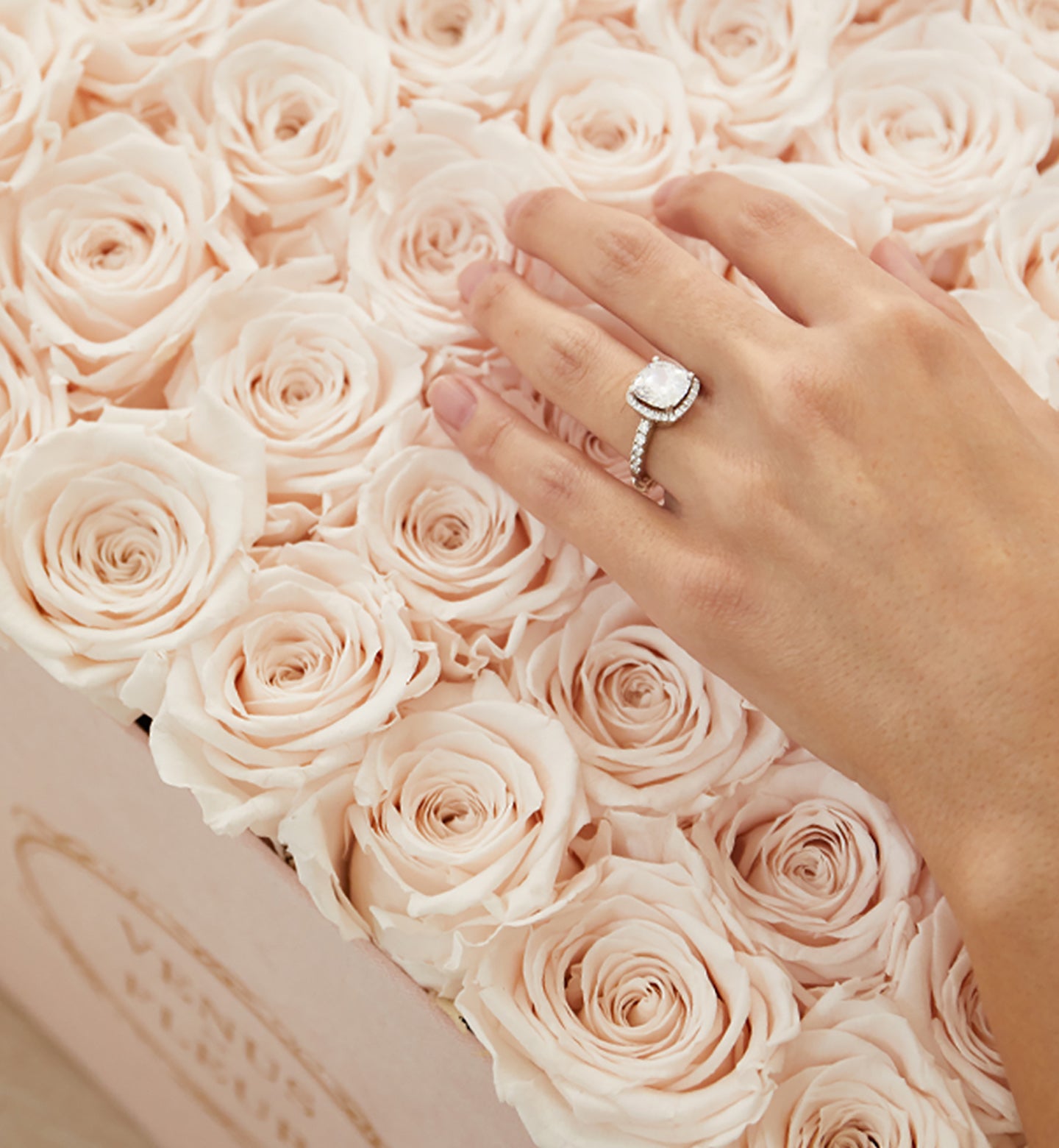 Le Mini Letter – Y - Venusetflleur