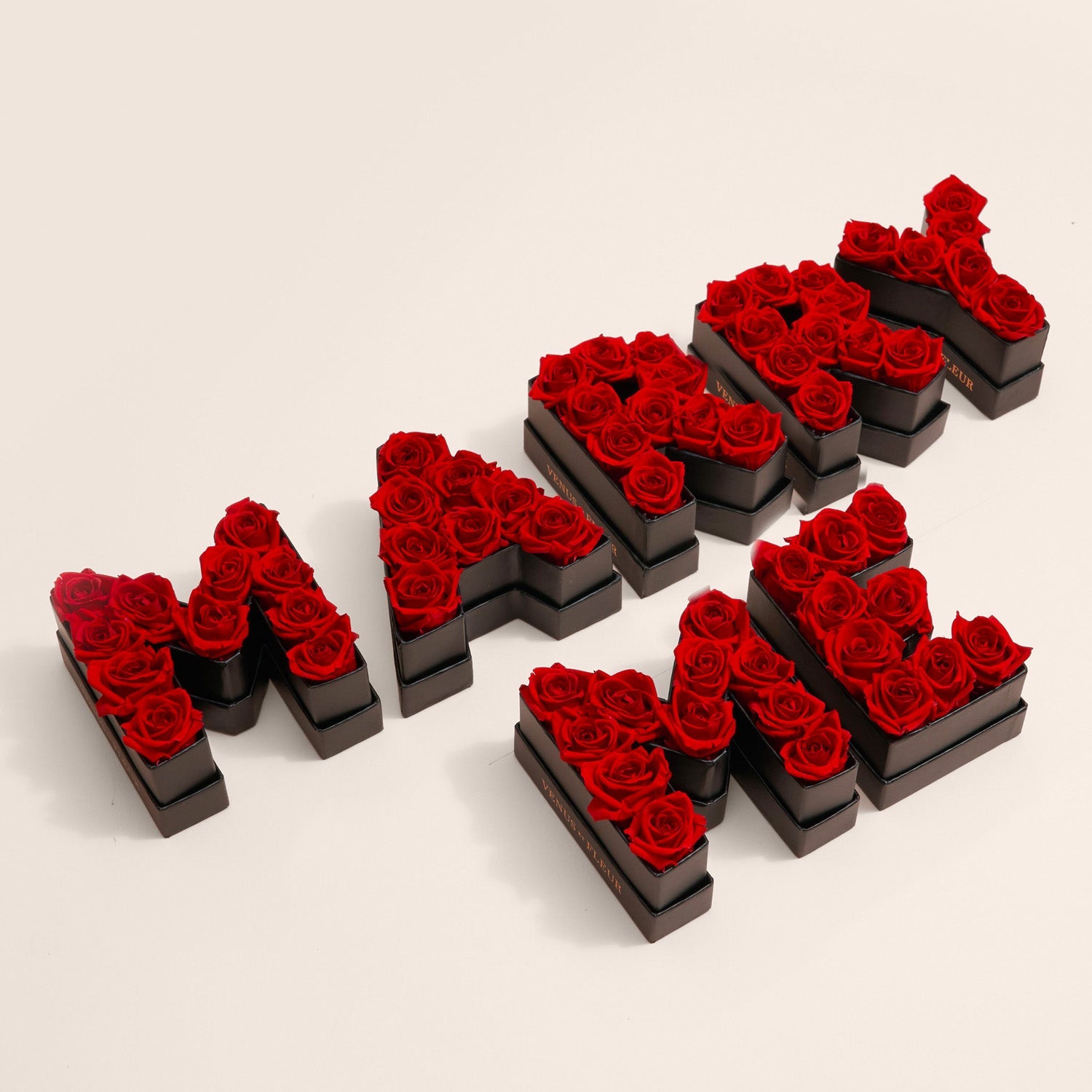 Le Mini Letter – M - Venusetflleur