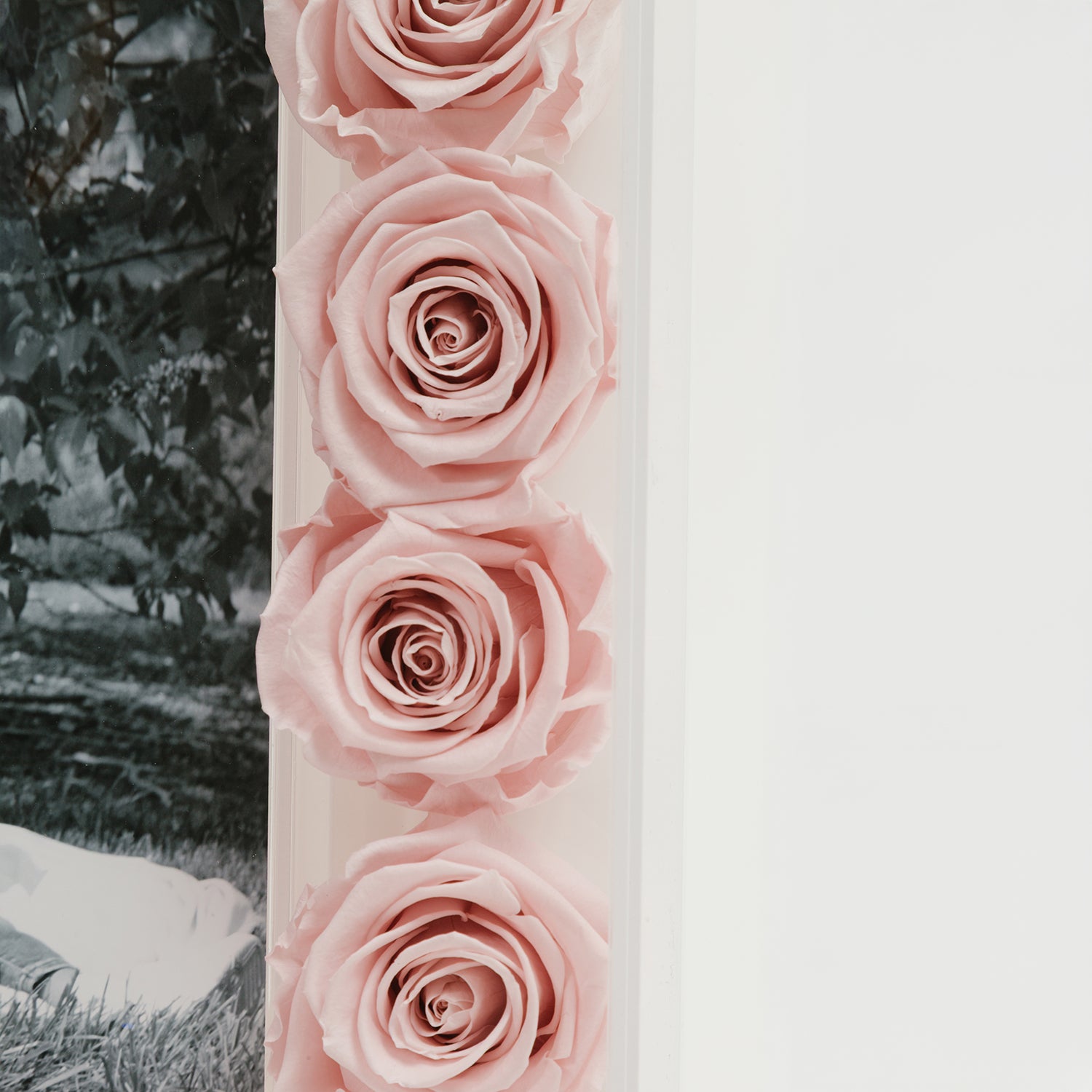 Grand Fleur Frame - Venusetflleur