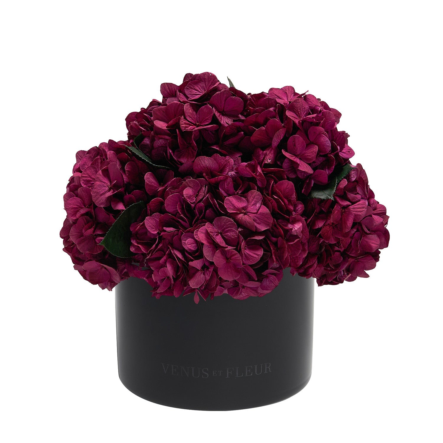 Eau Smoked Glass Vase - Venusetflleur
