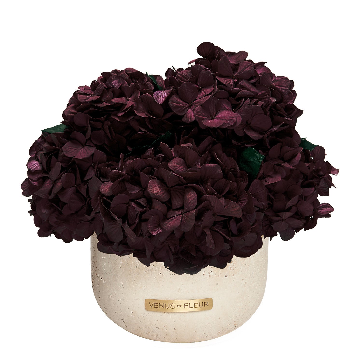 Terre Travertine Vase - Venusetflleur