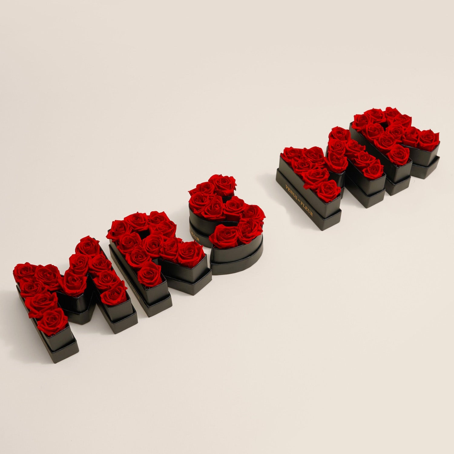 Le Mini Letter – R - Venusetflleur