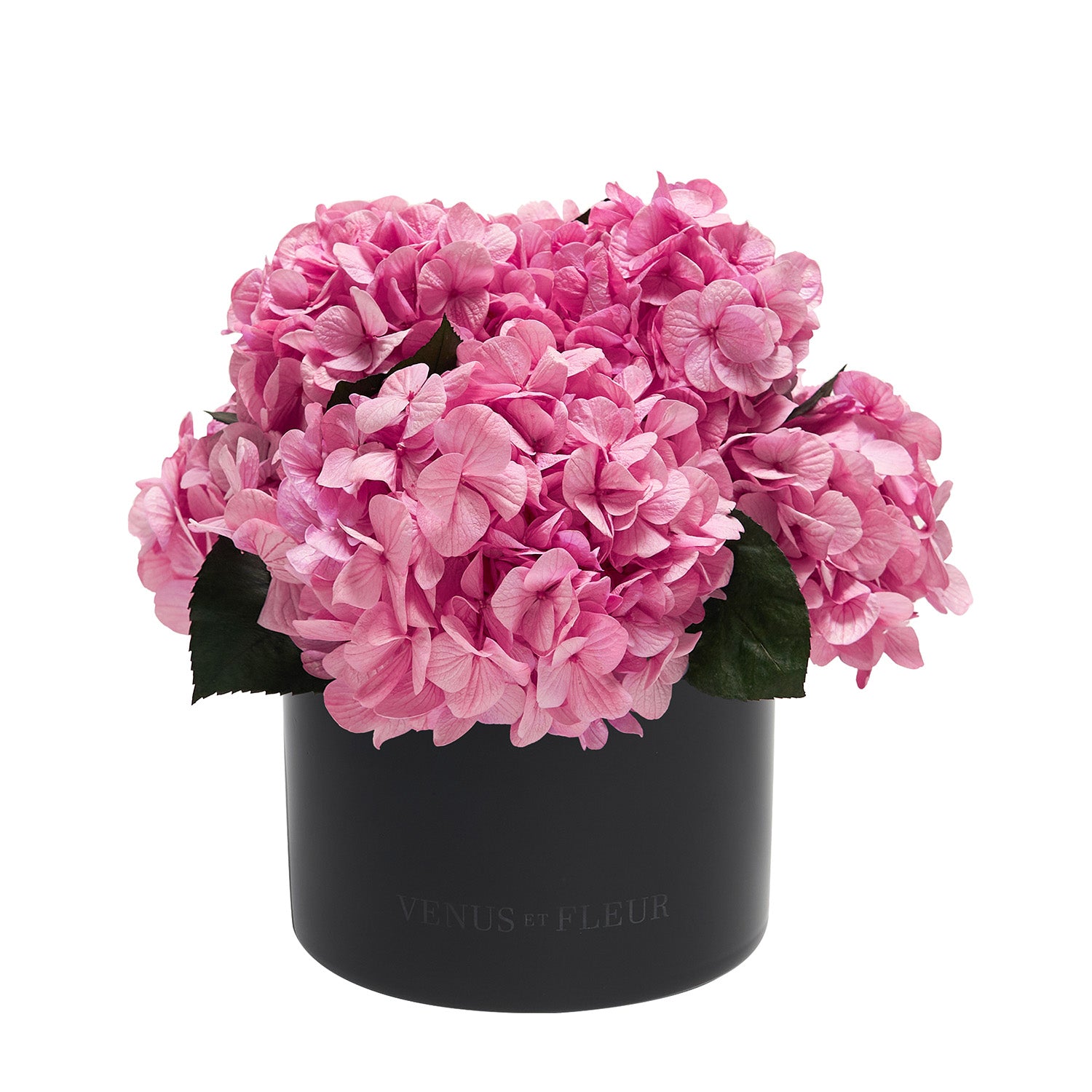 Eau Smoked Glass Vase - Venusetflleur