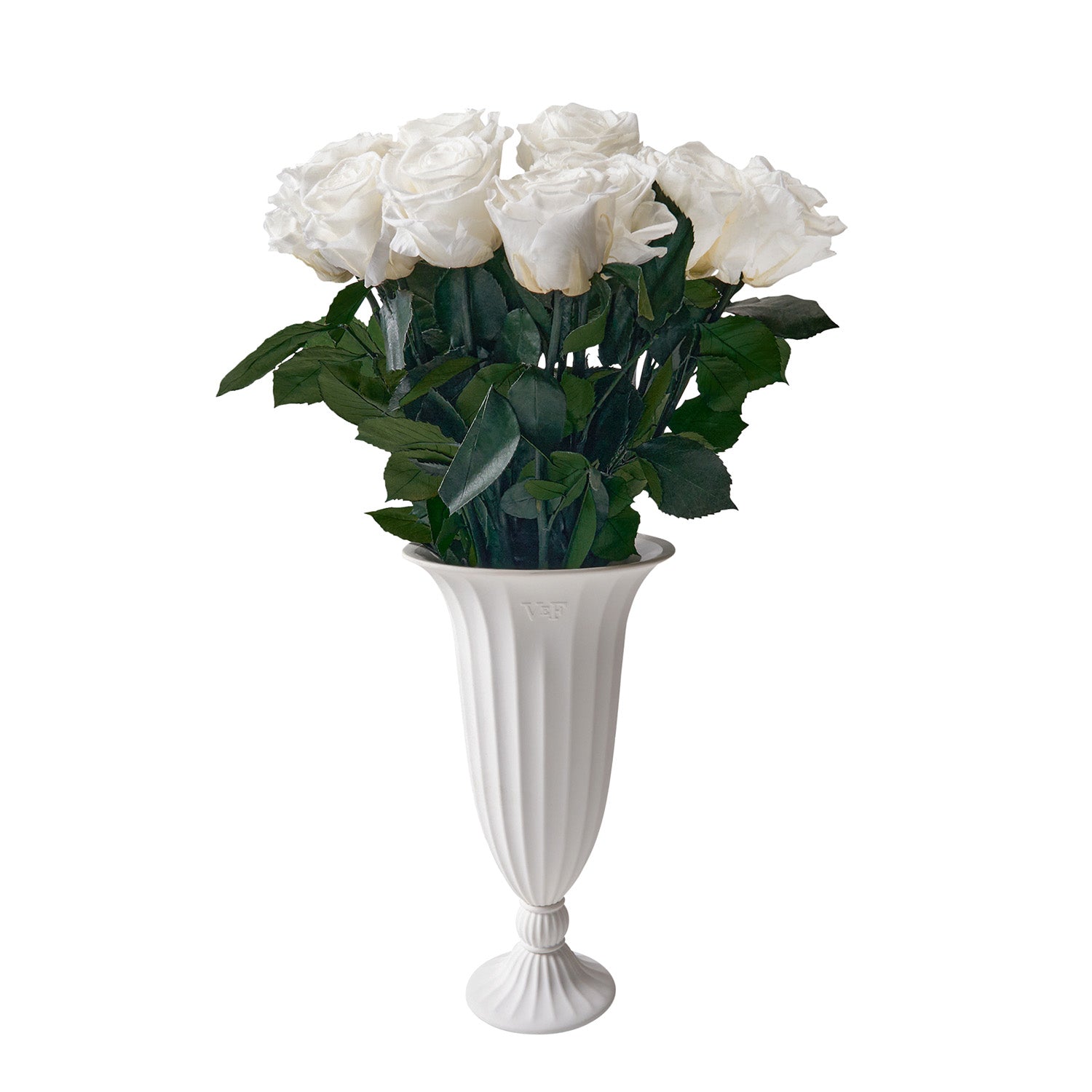 Aphrodite Porcelain Vase - Venusetflleur