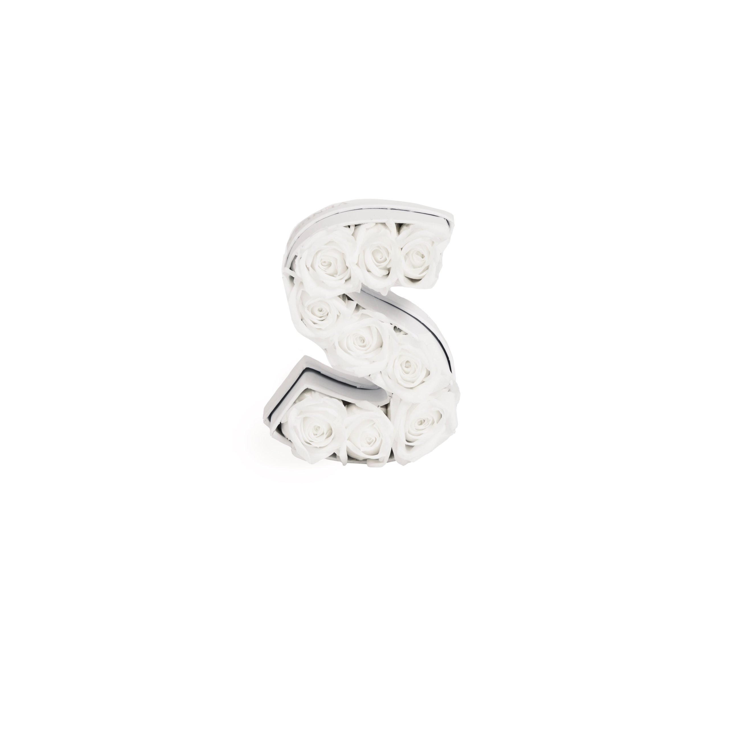 Le Mini Letter – S - Venusetflleur