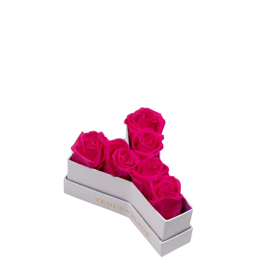 Le Mini Letter – Y - Venusetflleur