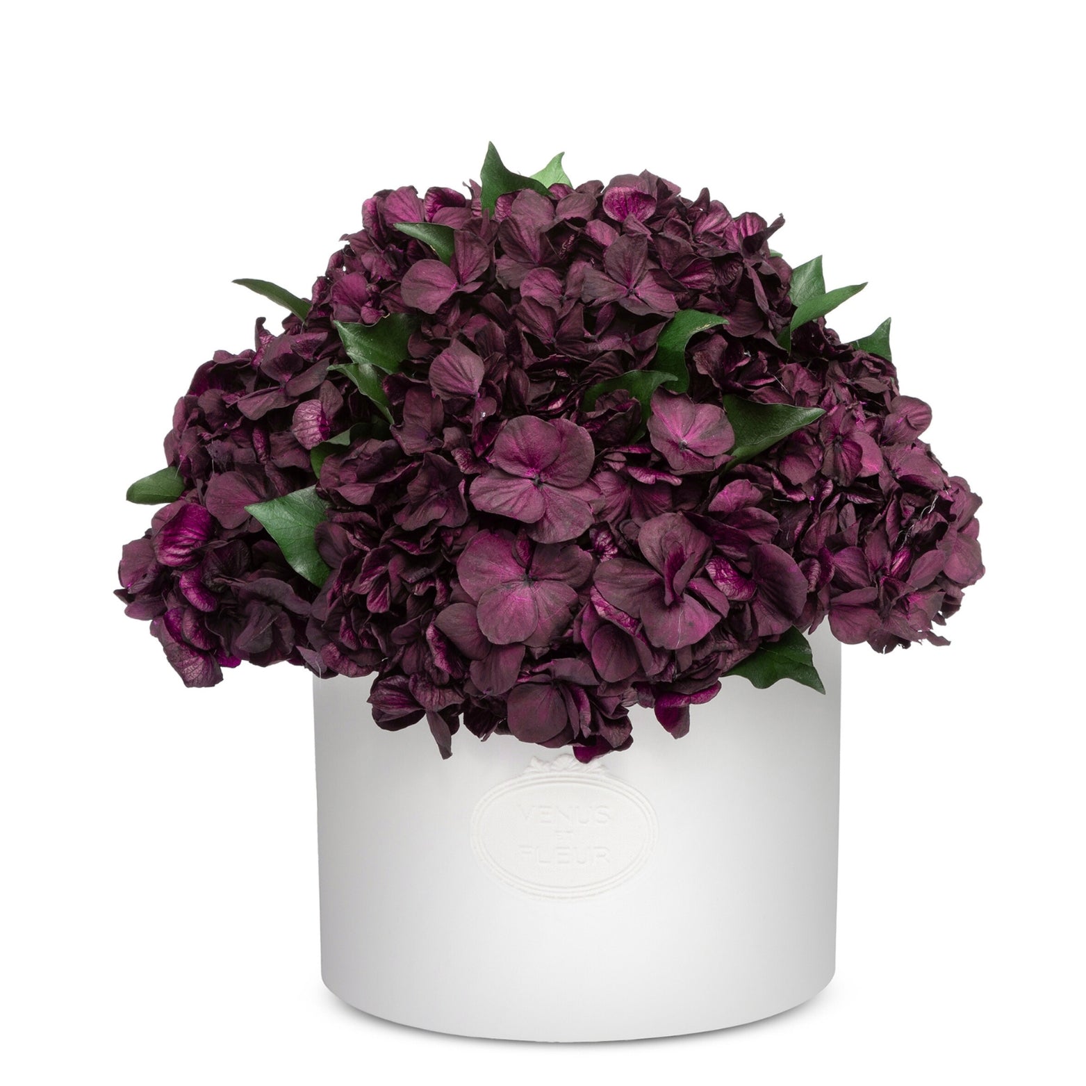 Thalia Porcelain Vase - Venusetflleur