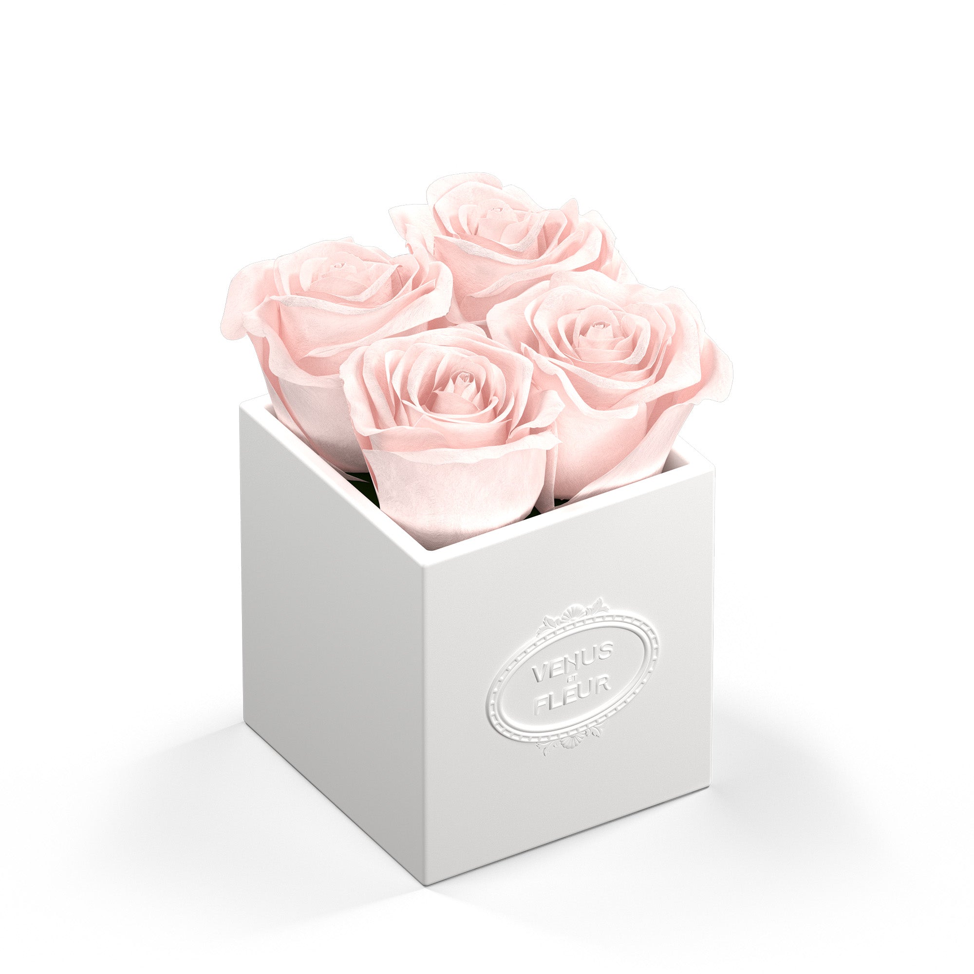 Sylvie Porcelain Vase - Venusetflleur