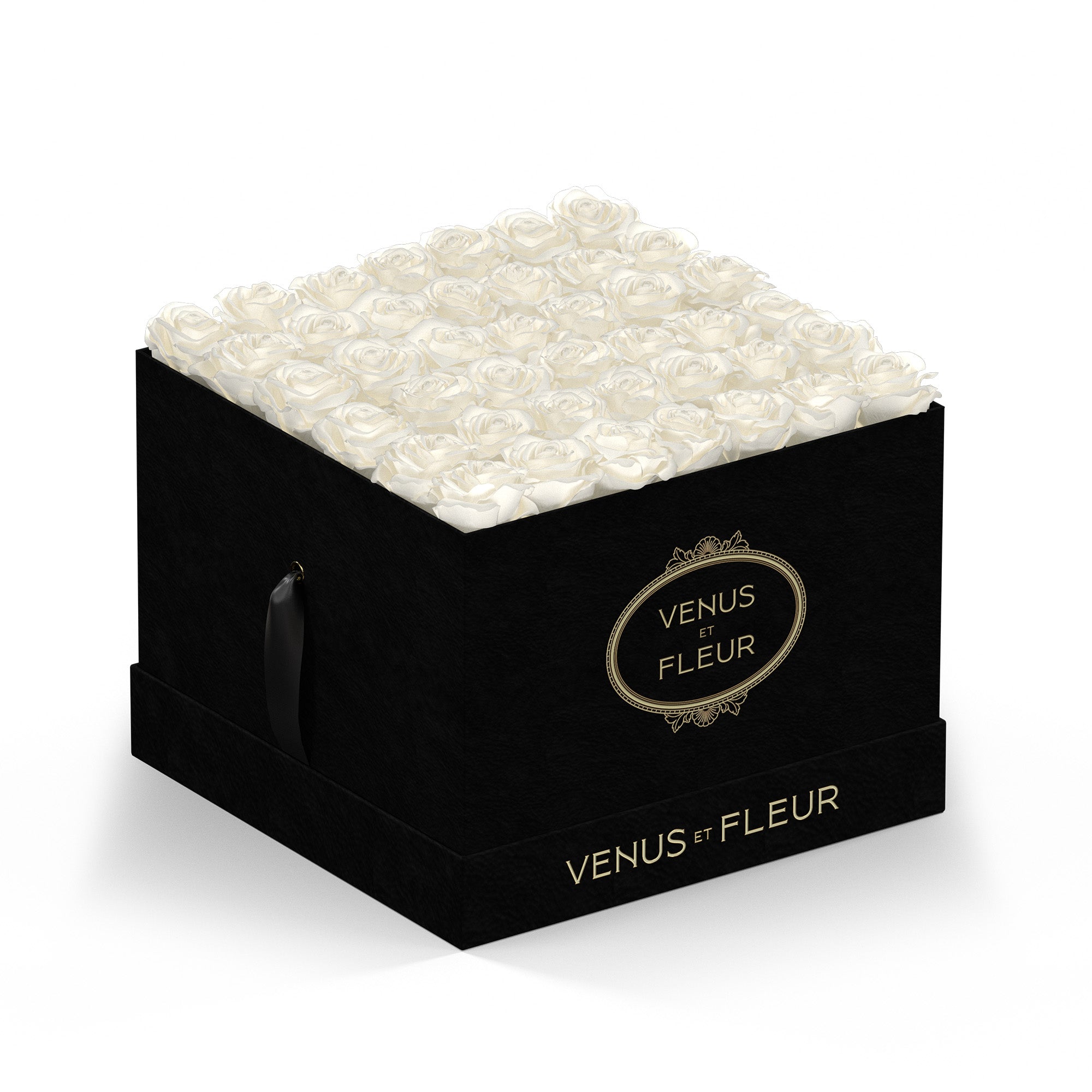 Large Square - Venusetflleur