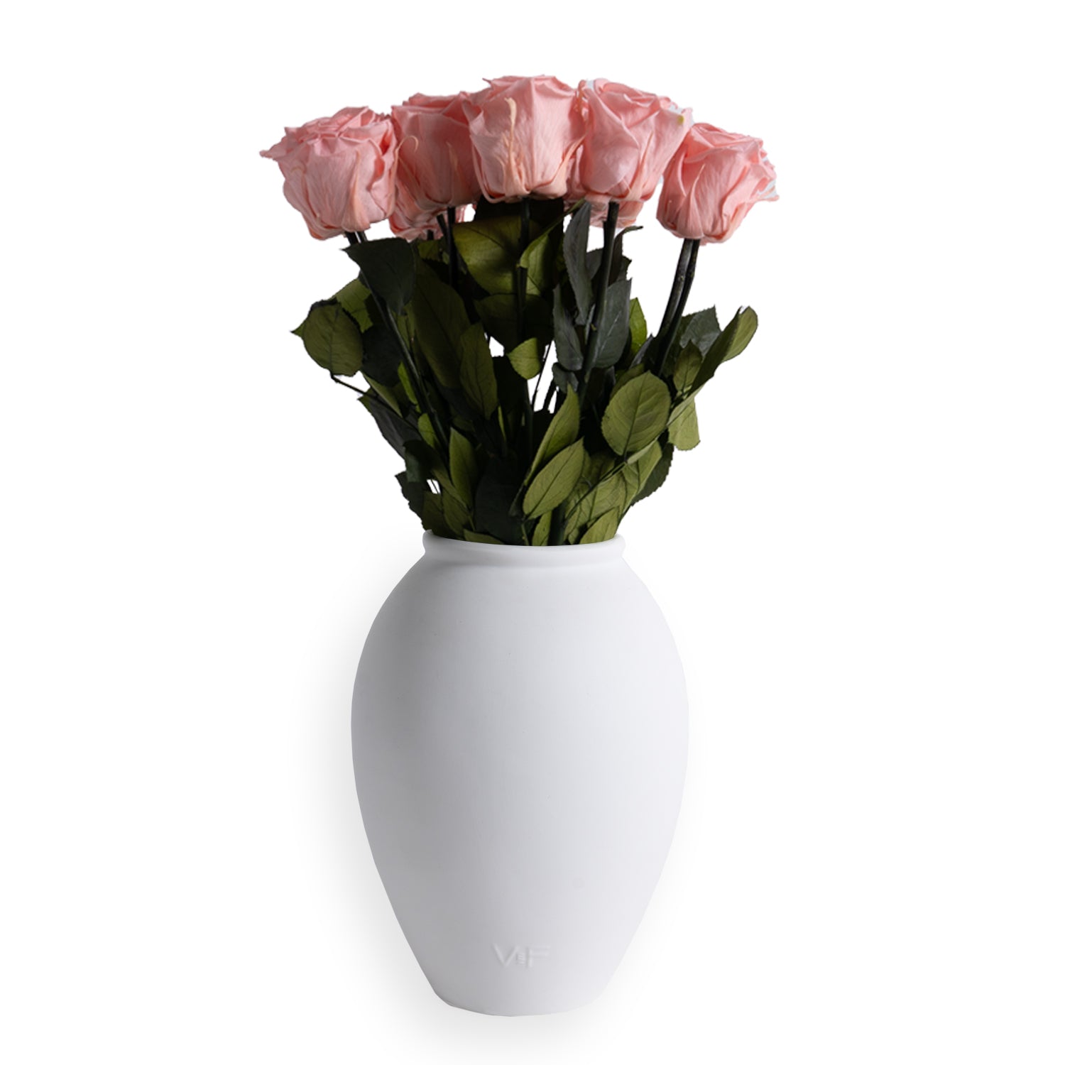 Amphora Porcelain Vase - Venusetflleur