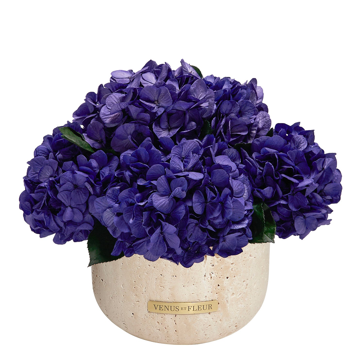 Terre Travertine Vase - Venusetflleur