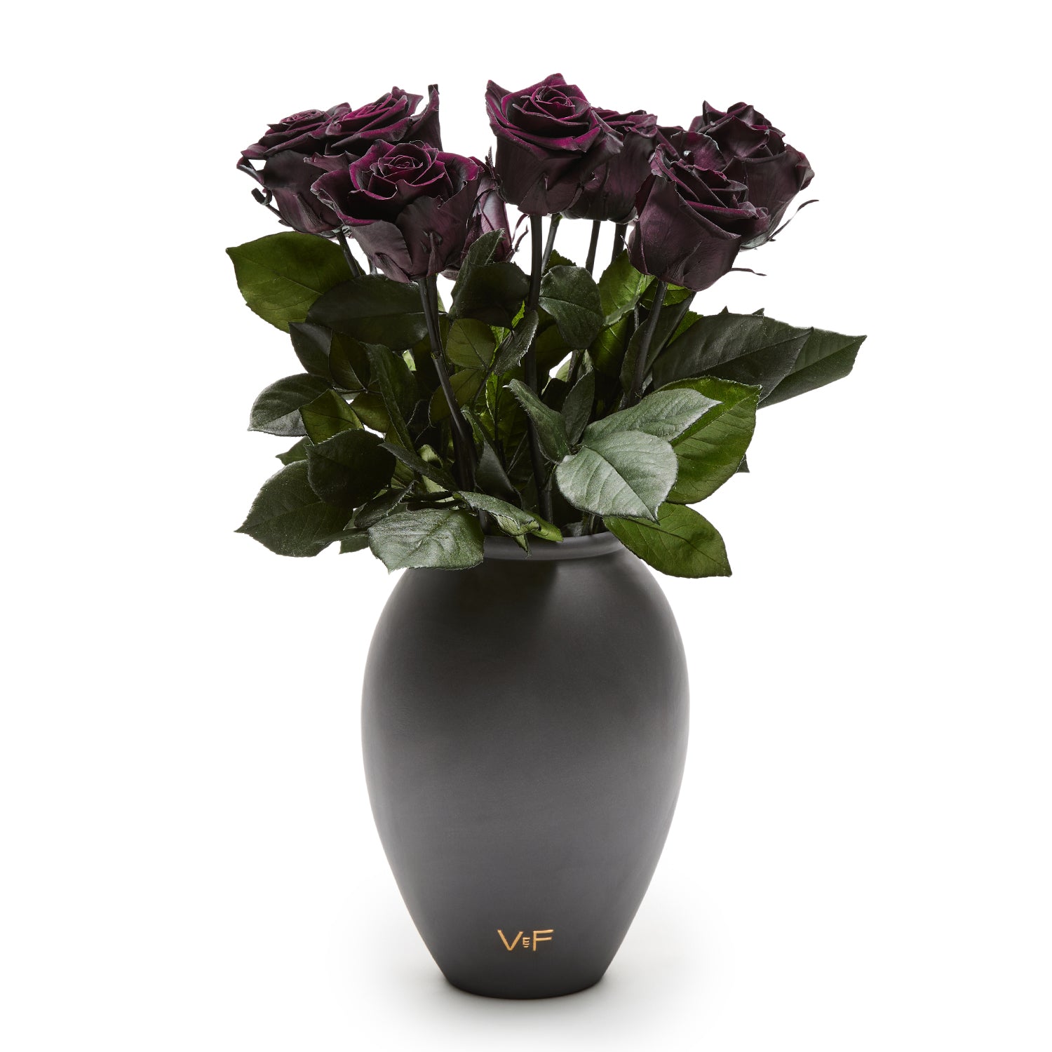 Amphora Porcelain Vase - Venusetflleur
