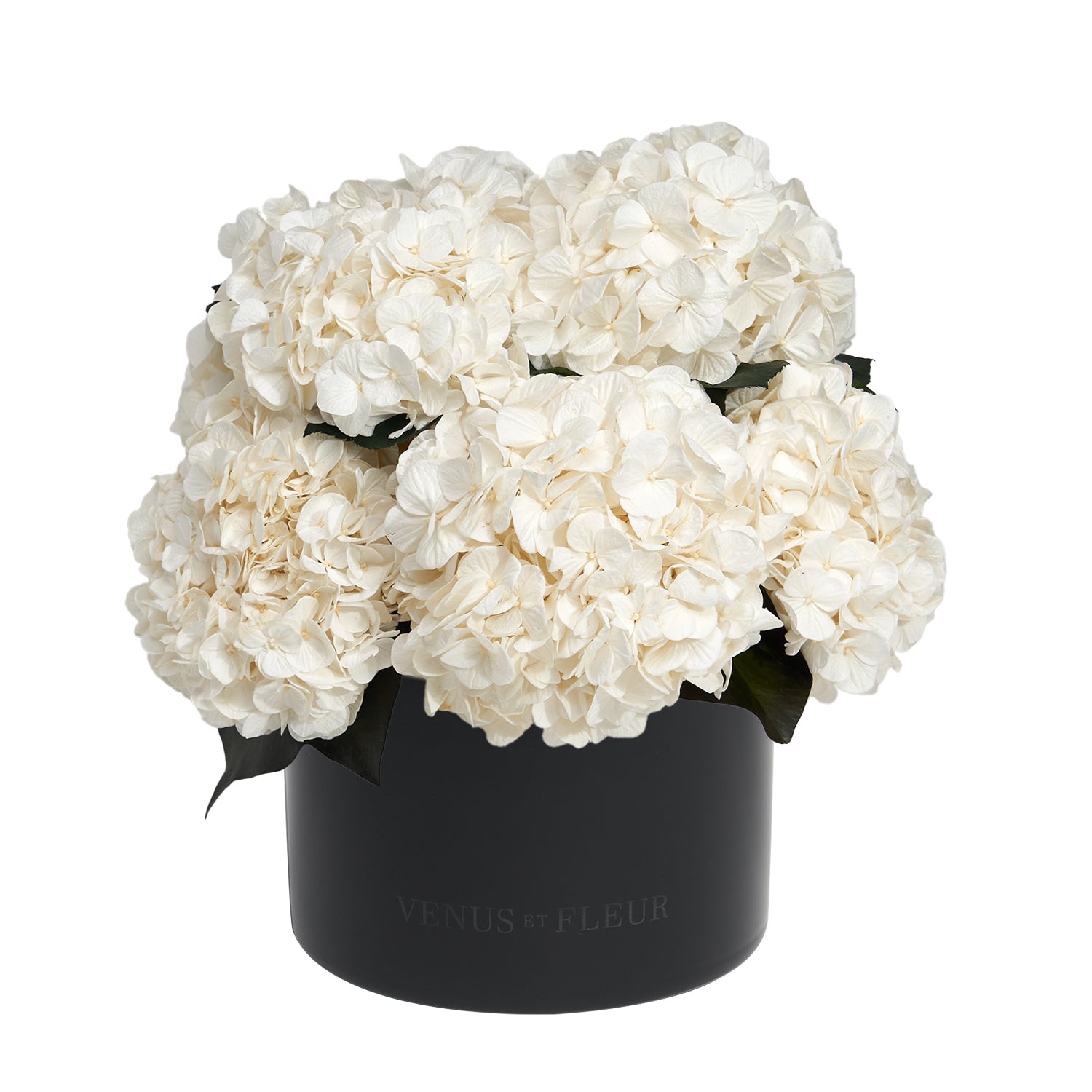 Eau Smoked Glass Vase - Venusetflleur