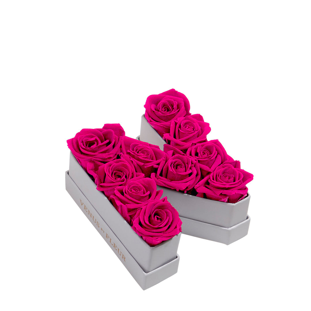 Le Mini Letter – N - Venusetflleur